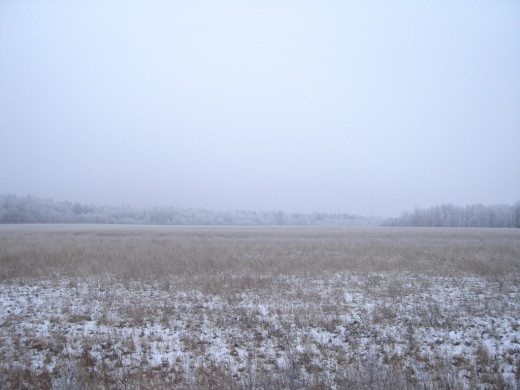 23685 (a): :1024x768
